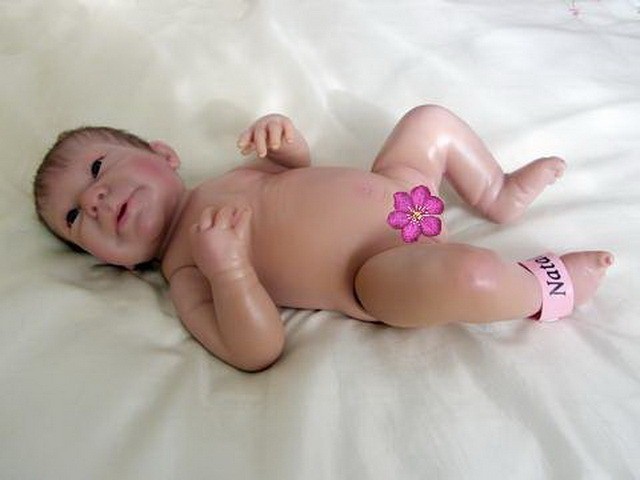 ashton drake anatomically correct dolls